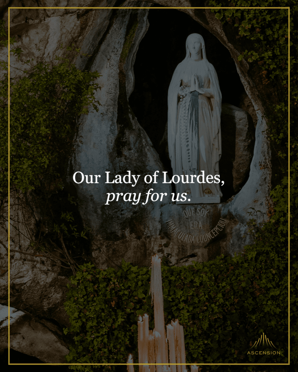 AscensionPress's tweet photo. Our Lady of Lourdes, pray for us! https://t.co/RSO333gr3j