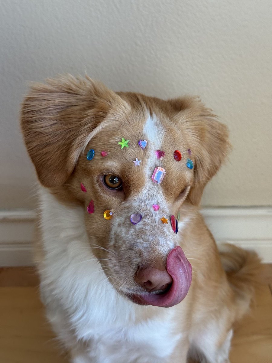 twaniimals's tweet image. 