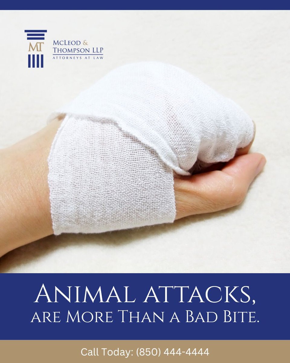 MMRTLAW's tweet image. Florida law holds owners responsible for their dog's actions. Severe injuries, infections and trauma can lead to significant medical bills. We know how to navigate these claims to secure compensation for all damages. 

#McLeodAndThompson #DogBiteLaw #PremisesLiability #Expertise