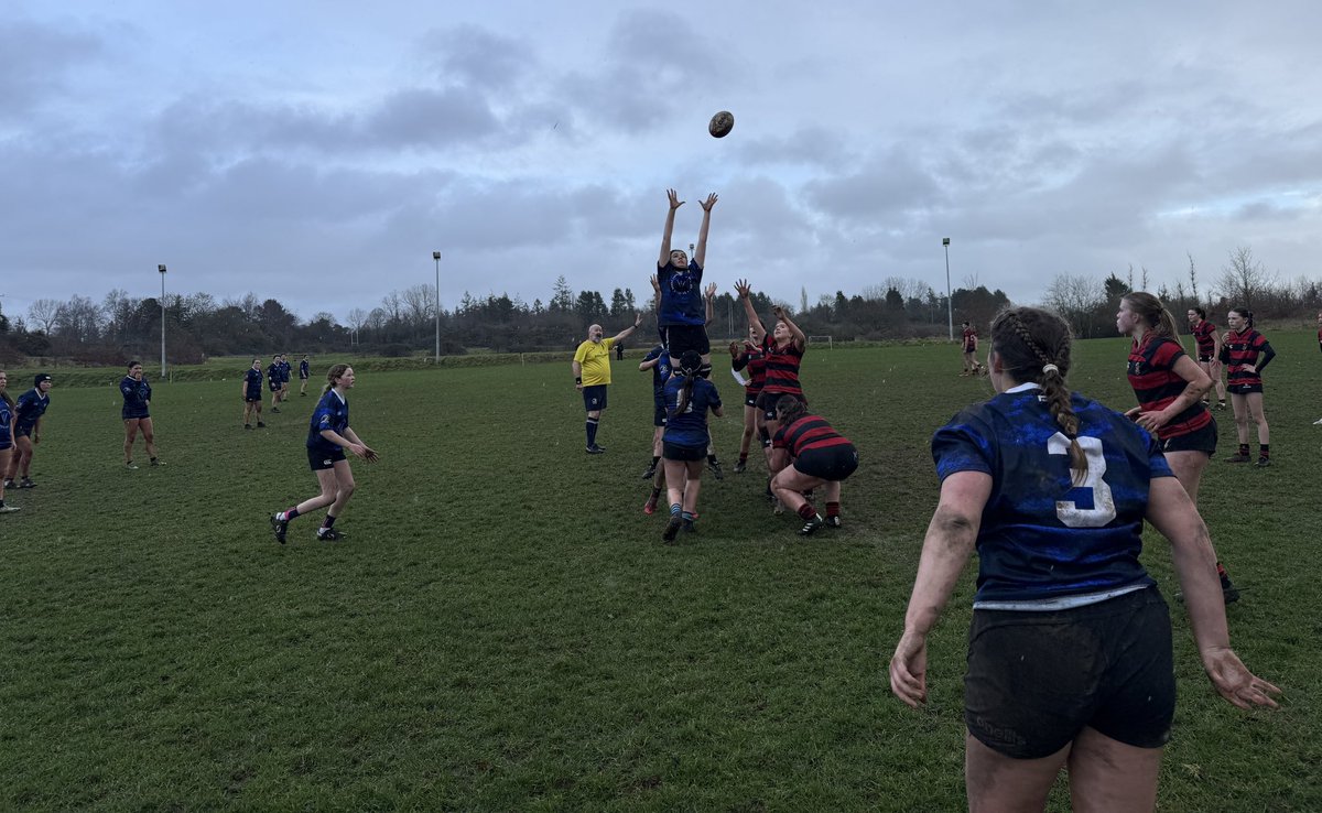 noel devlin tweet media