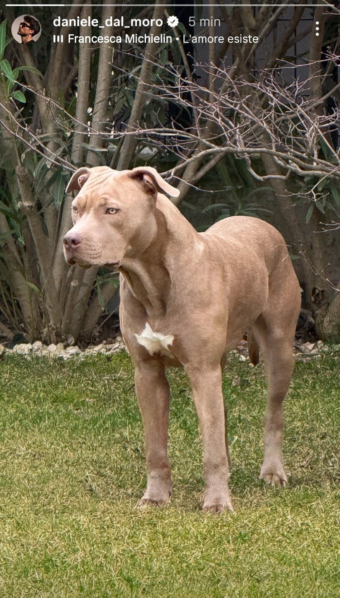 il piccolo Jago é meraviglioso Dani e Jago si sono donati il cuore e io amo vedere il loro legame 🥹🫠
buon pomeriggio Dani 🫶🏾❤️
#ddm