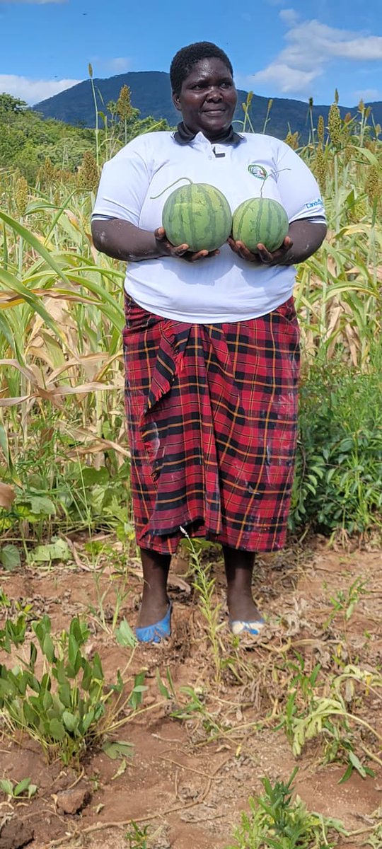 TSURO Trust tweet media