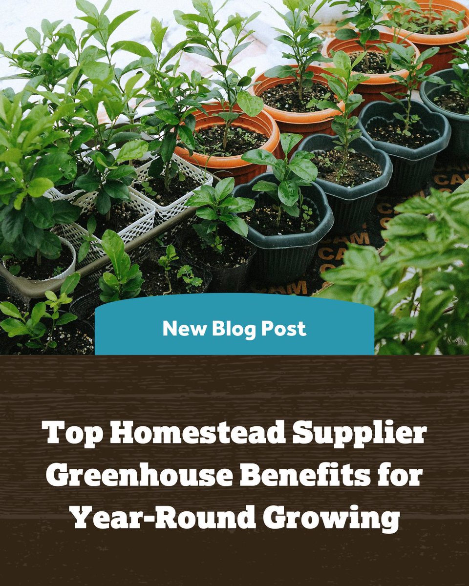 Homesteading gets easier with the right greenhouse.

See how a greenhouse can help you grow food, support your flock, and even start a small business, all from your backyard. 👇

na2.hubs.ly/H02KRmC0