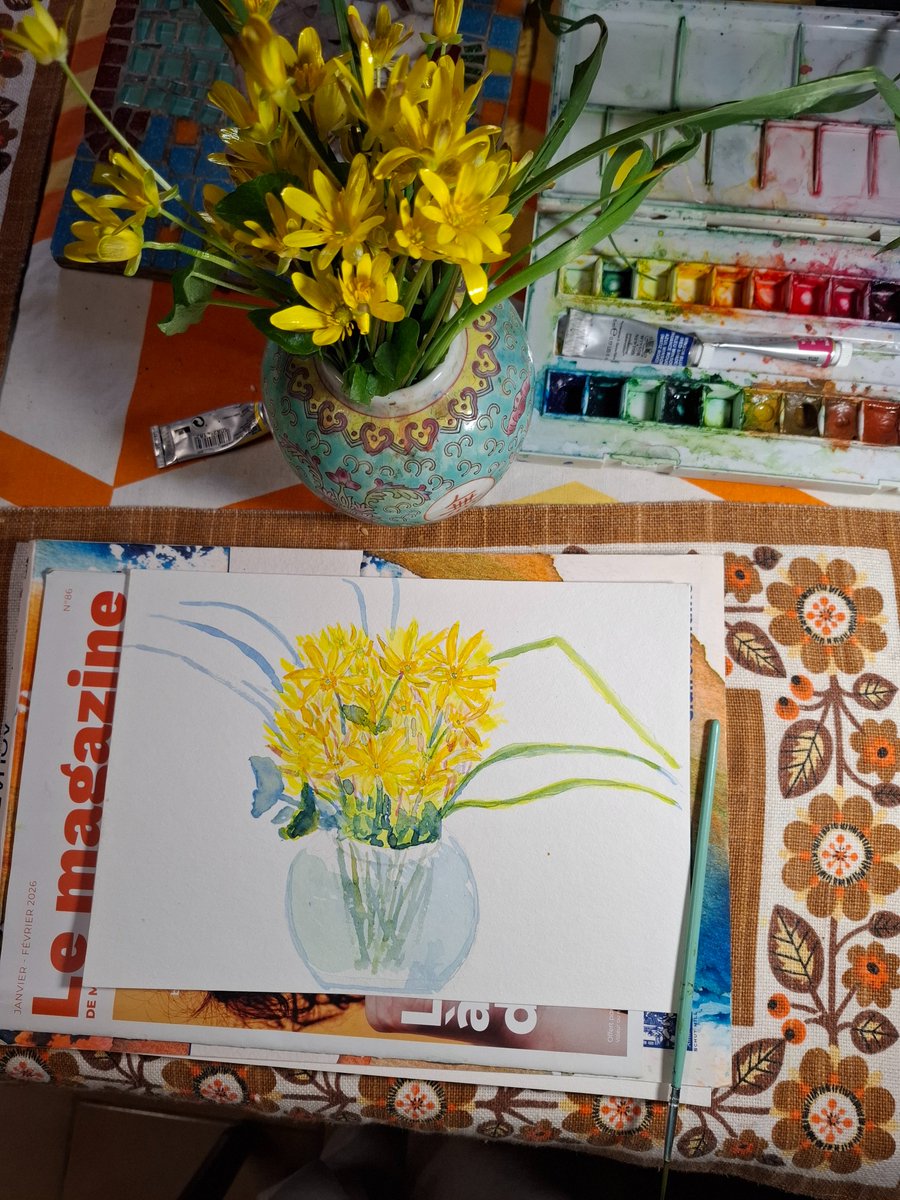 larremendy's tweet photo. Fleurs jaunes https://t.co/5Q6q32ymMU