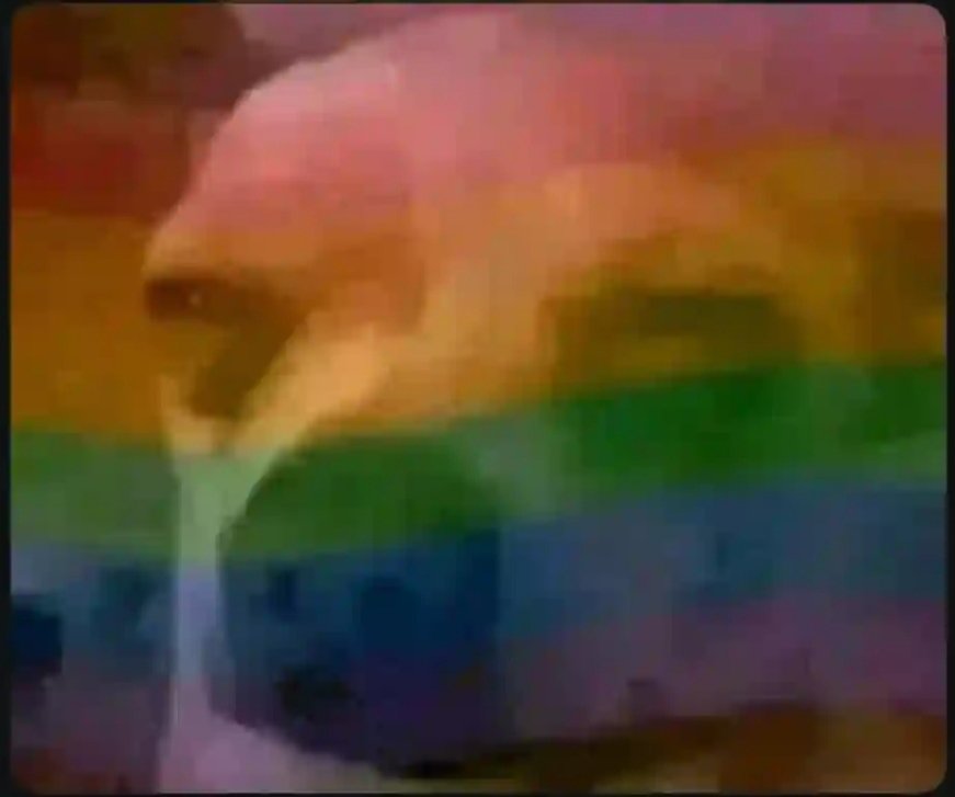 As a man knowing how to cook is okay but when you start baking cookies...😂💔