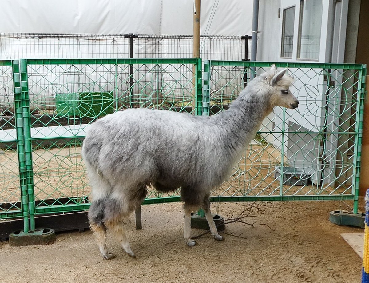 さこθ (@sako4ta) / Posts / X