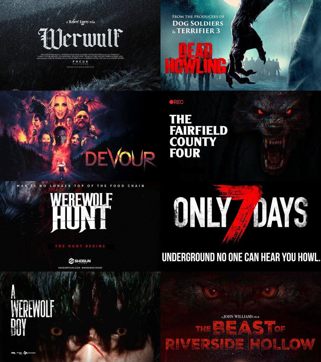 <a href="/TheMexyWolf/">Azi MexyWolf 🐺 ( ΘΔ ) 🏳️‍🌈</a> More than one