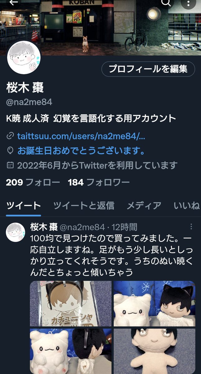 桜木 棗 tweet media