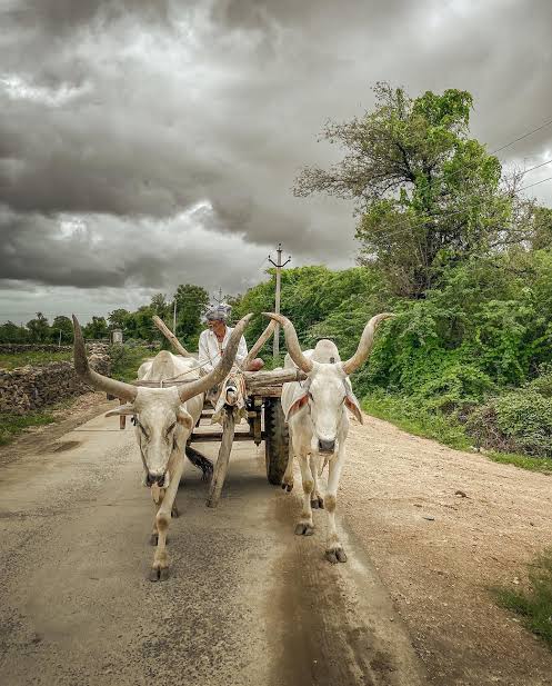 जड़ों से जुड़े रहना ही असली संस्कार है, वरना ऊंचाइयां तो आसमां के परिंदे भी नाप लेते हैं।