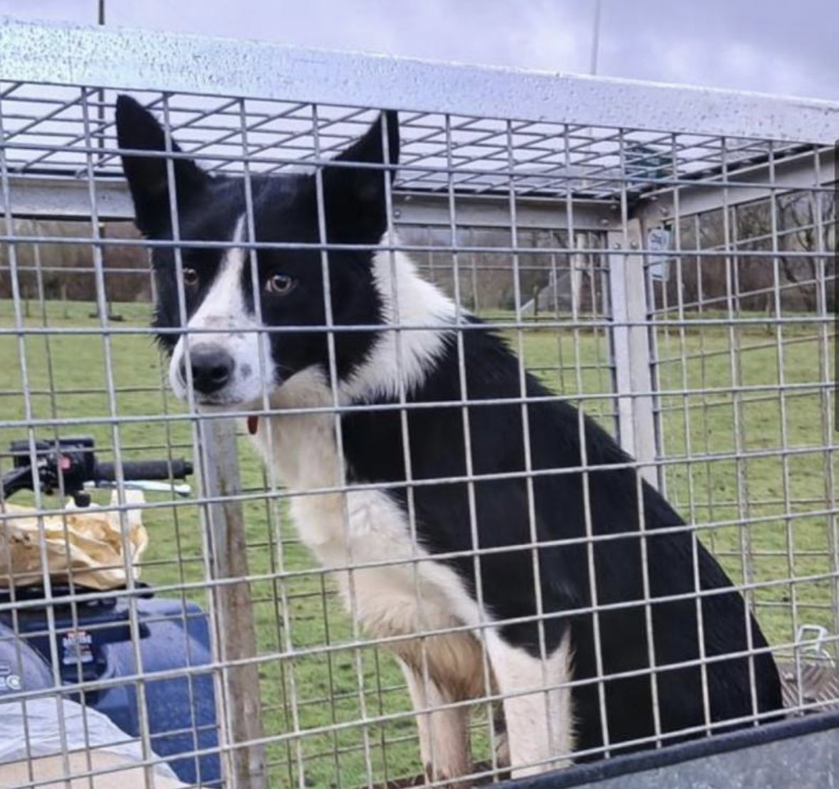 Rosie Doc tweet media