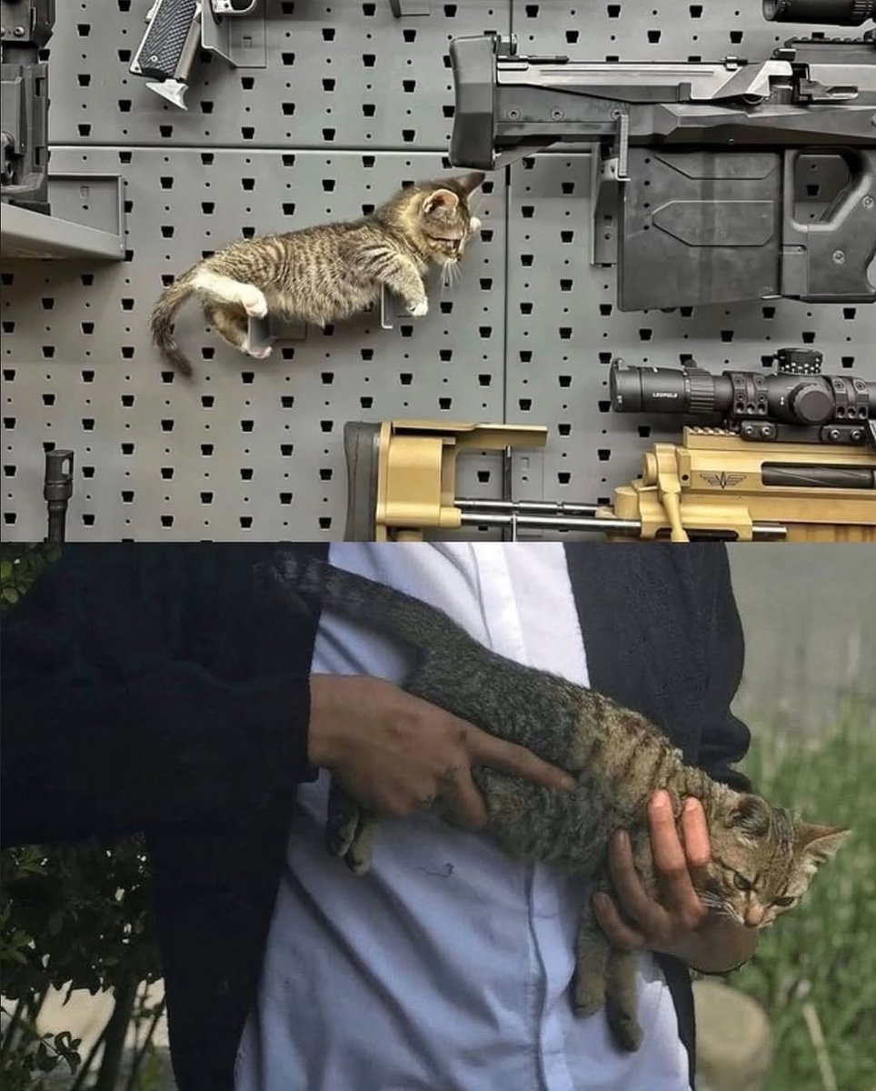 🔫