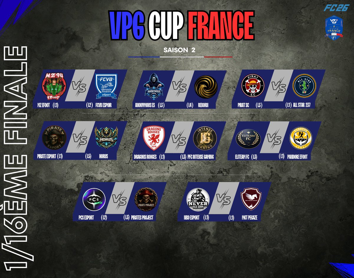 VPG France tweet media