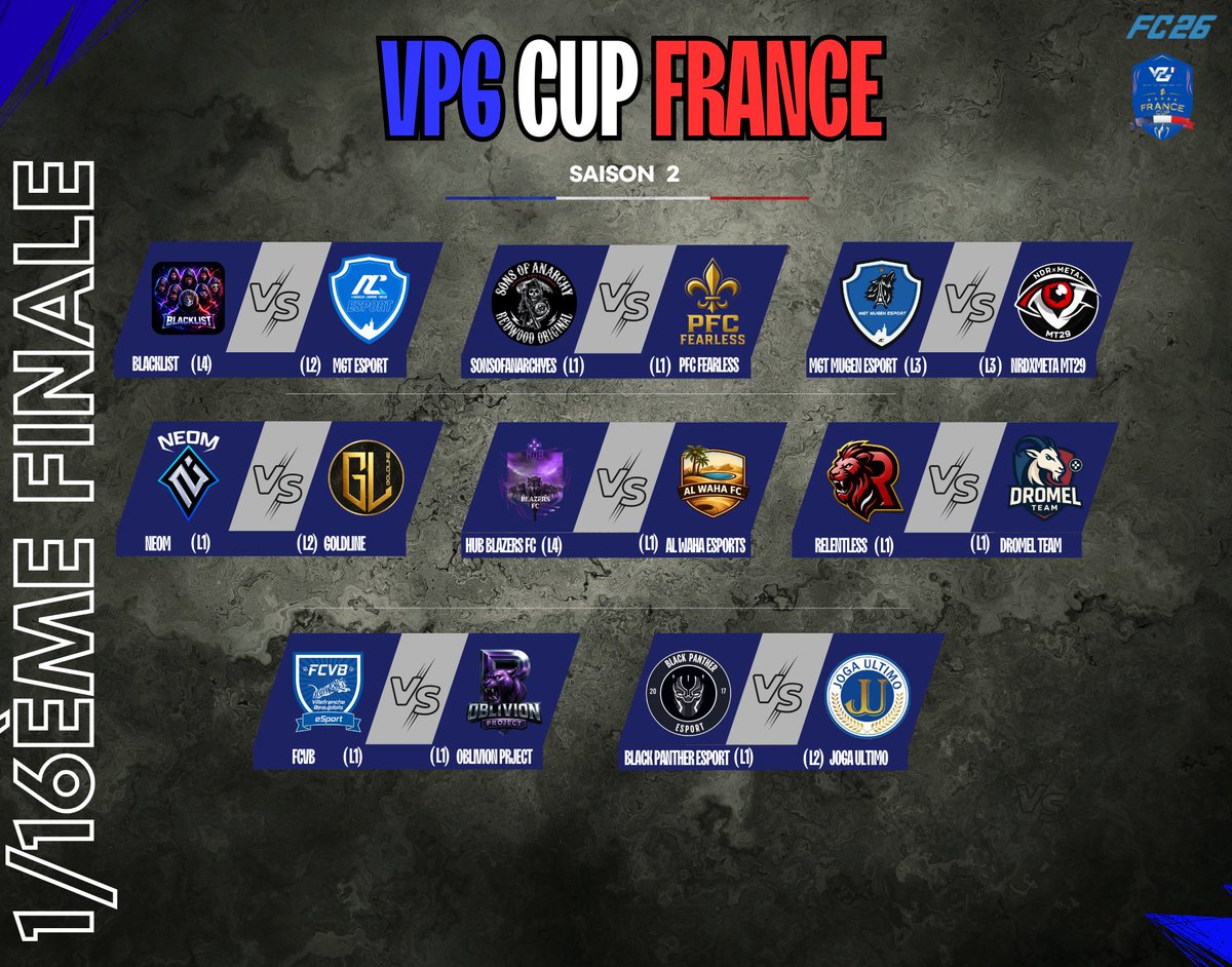 VPG France tweet media