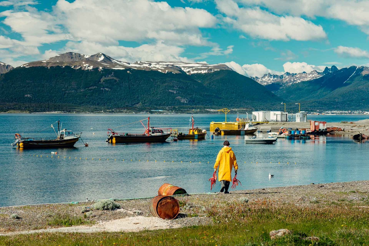 cumbresymares's tweet photo. Puerto Almanza, el asentamiento pesquero más austral del país 
A 75 kilómetros de Ushuaia, la localidad costera sobre el canal Beagle conserva la fisonomía de una villa de pescadores y cocina local con la captura artesanal como eje.
https://t.co/tgVaf1XzFk https://t.co/G1PxmP5m10