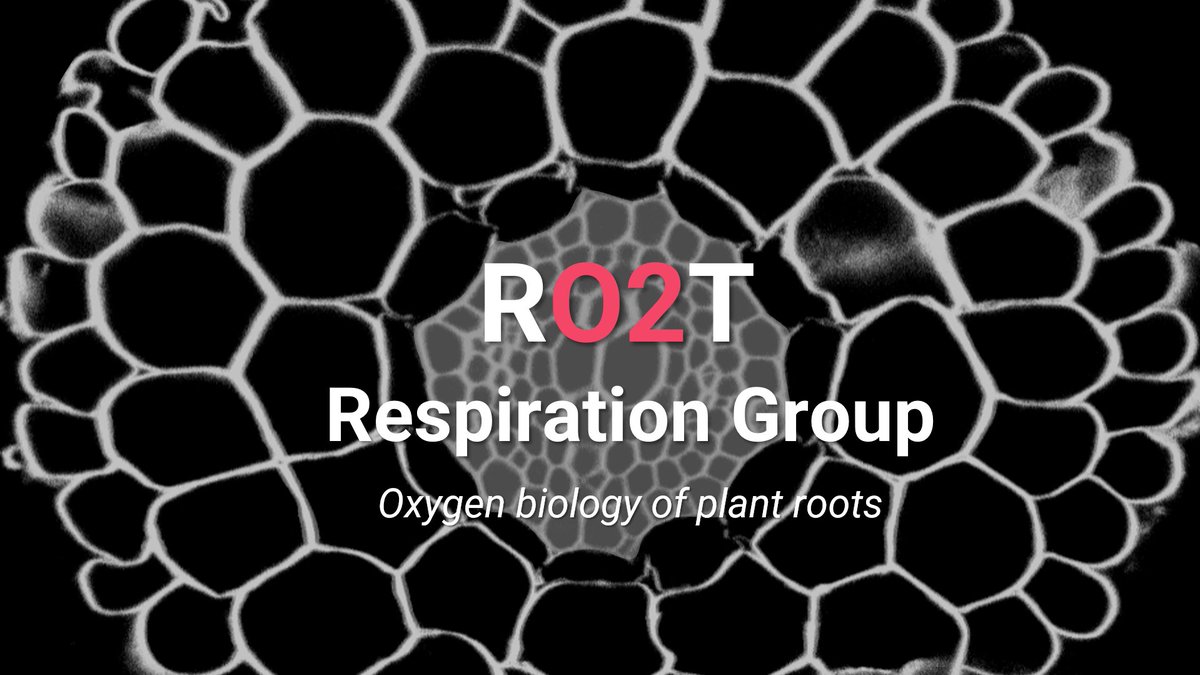 Vinay Shukla tweet media