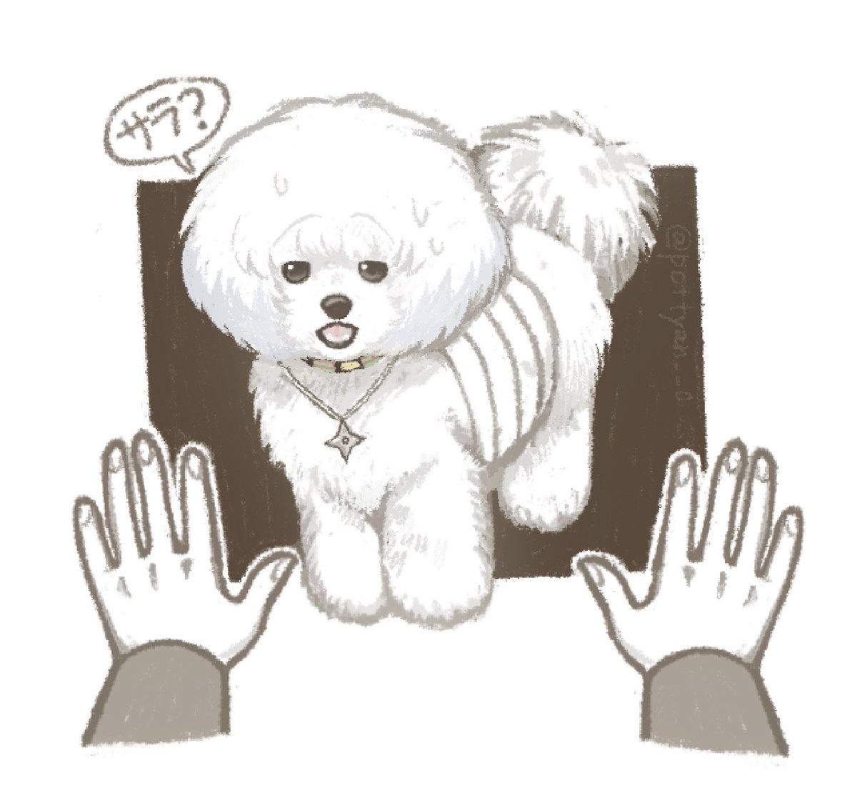 蘭丸犬まとめ #キミガシネ #yttd