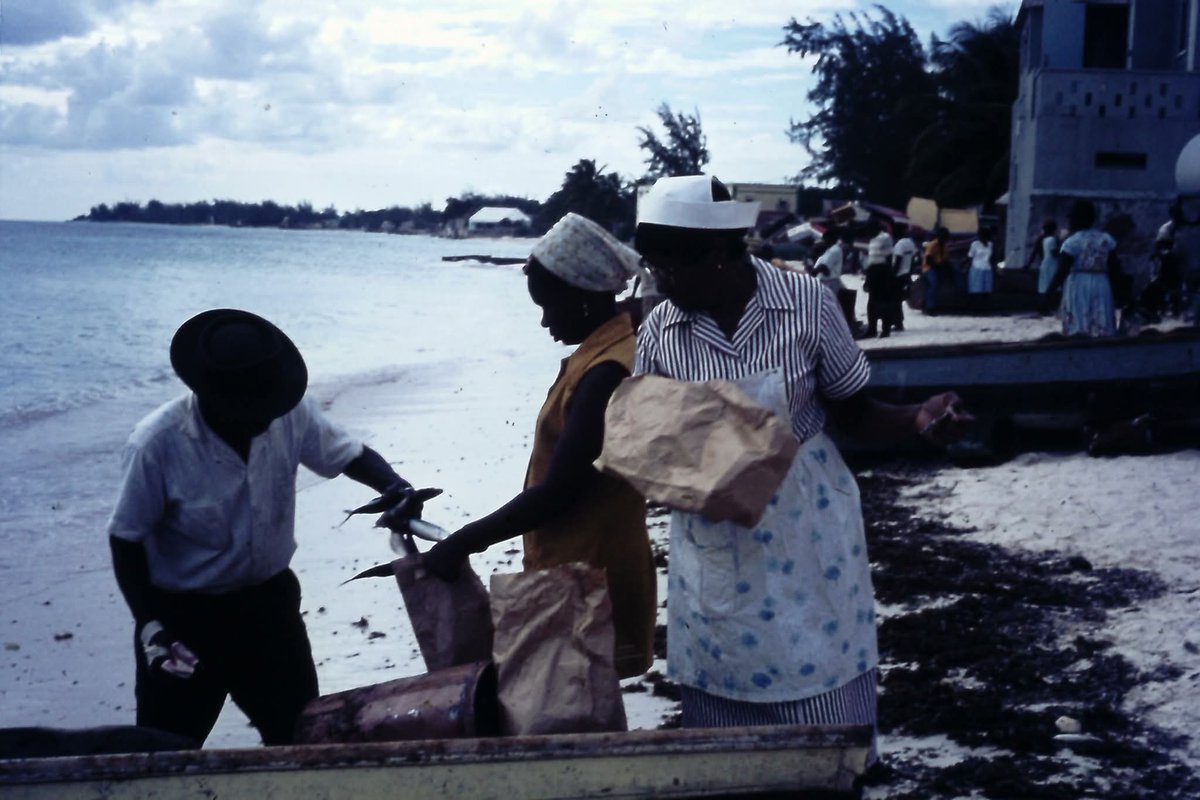FactsBarbados's tweet photo. Oistins Barbados 1970 https://t.co/Xc5bYFd7OX