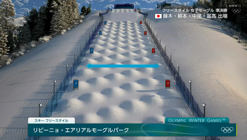 フリースタイル スキー リビーニョ エアリアル モーグルパーク