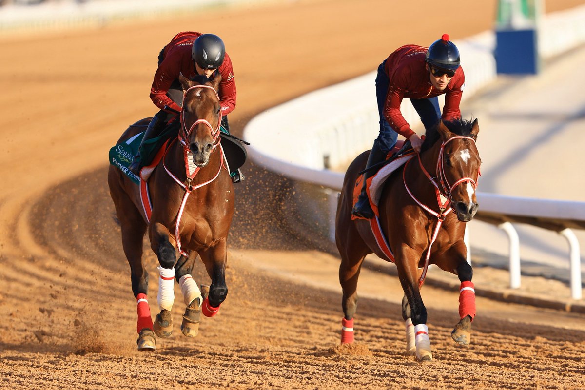 _RYUSEI_0531's tweet photo. 今朝のフォーエバーヤングとアメリカンステージ🐴🇸🇦

Photo by岡田修平さん https://t.co/dWjwBXsxAj