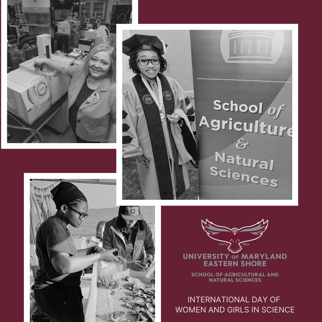 UMES SANS tweet media