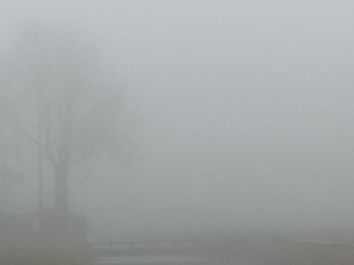 Wesley Boots tweet media