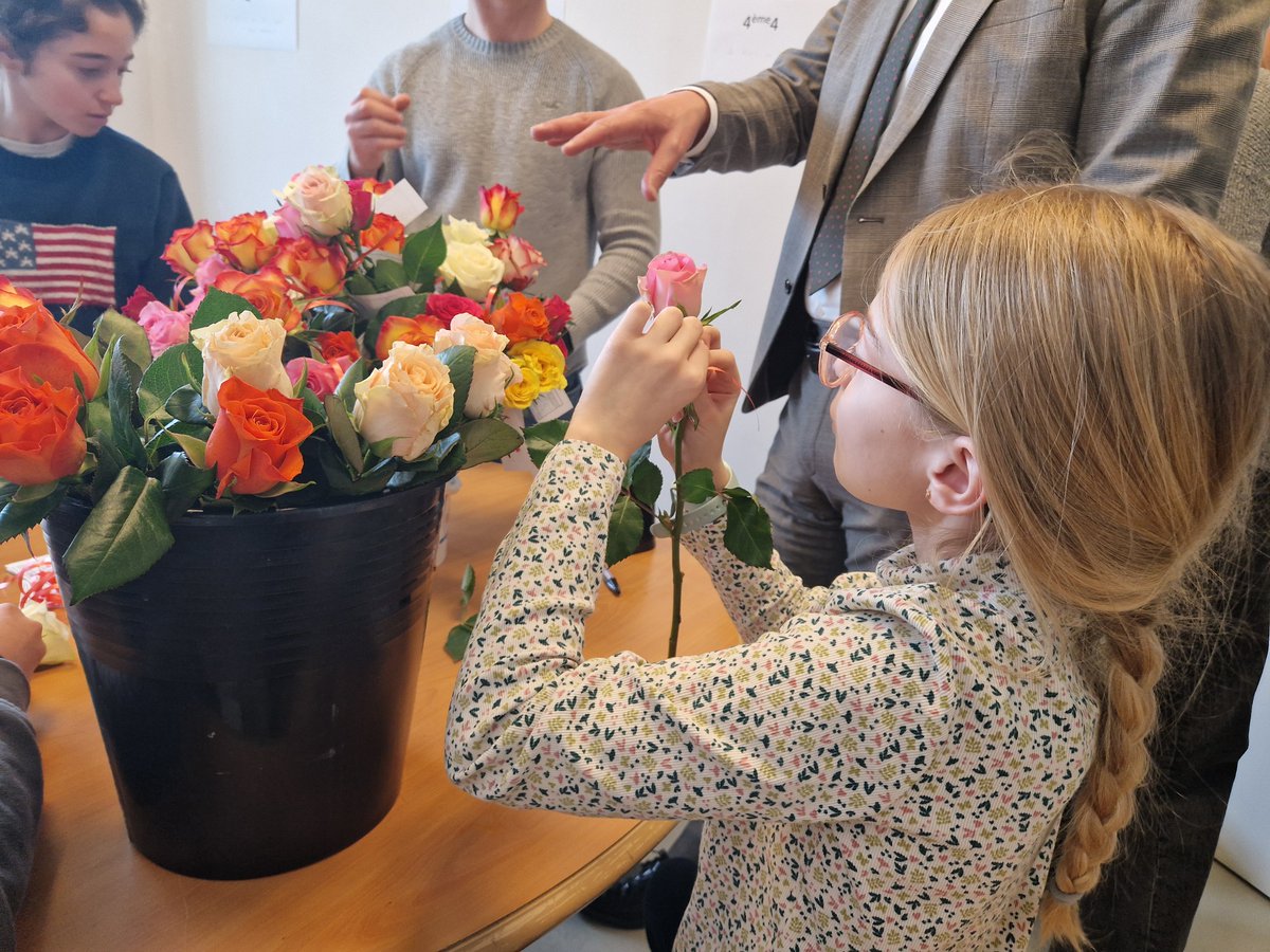 DSDEN 31 tweet media