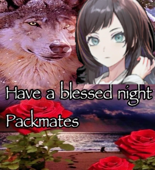 fibonyancci's tweet image. 