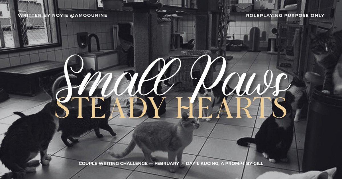 Catesha. (@amoourine) on Twitter photo 