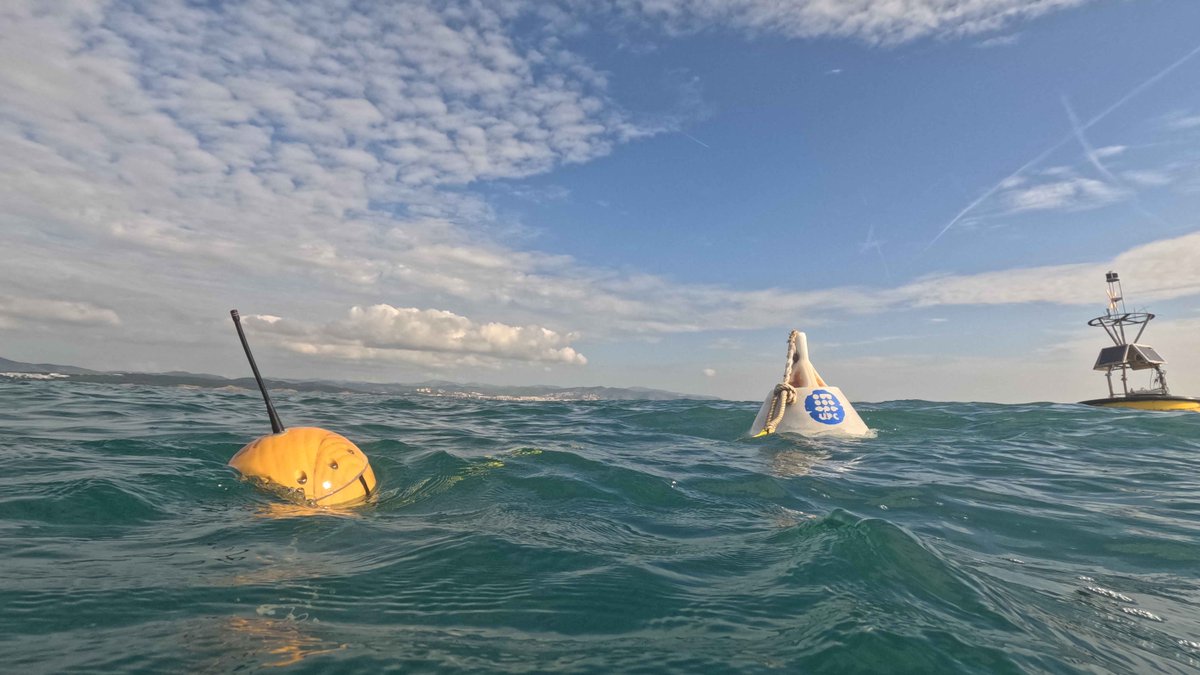 CLS Group tweet media