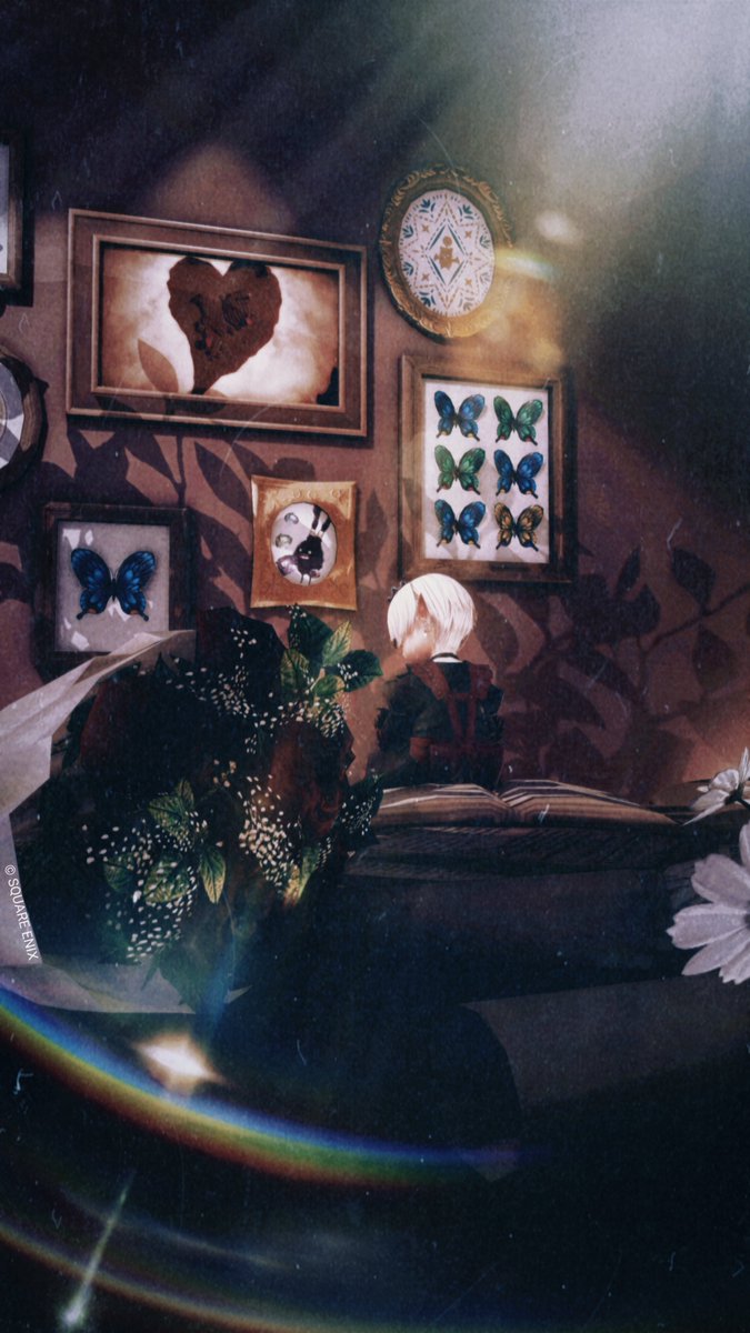 夜咲薔薇 #maypr_m