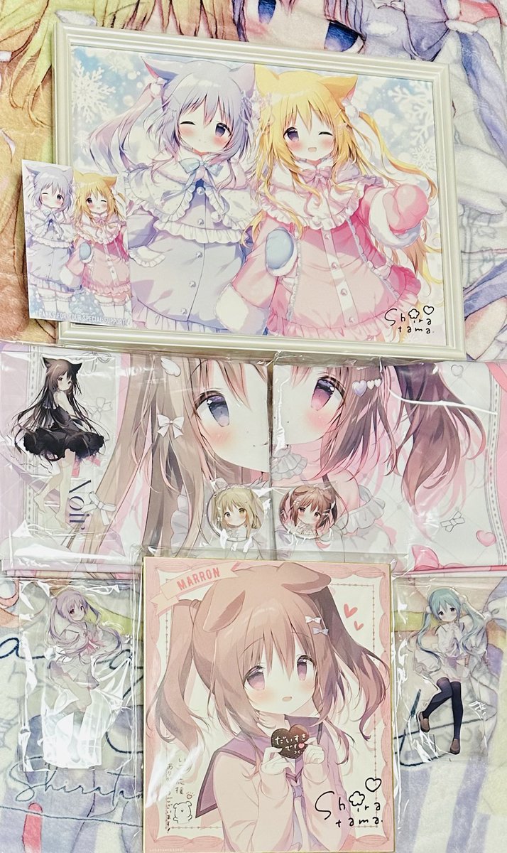 しらたま❄️新作ゲーム2本制作中🐇🫖 (@shiratamacaron) / Posts / X