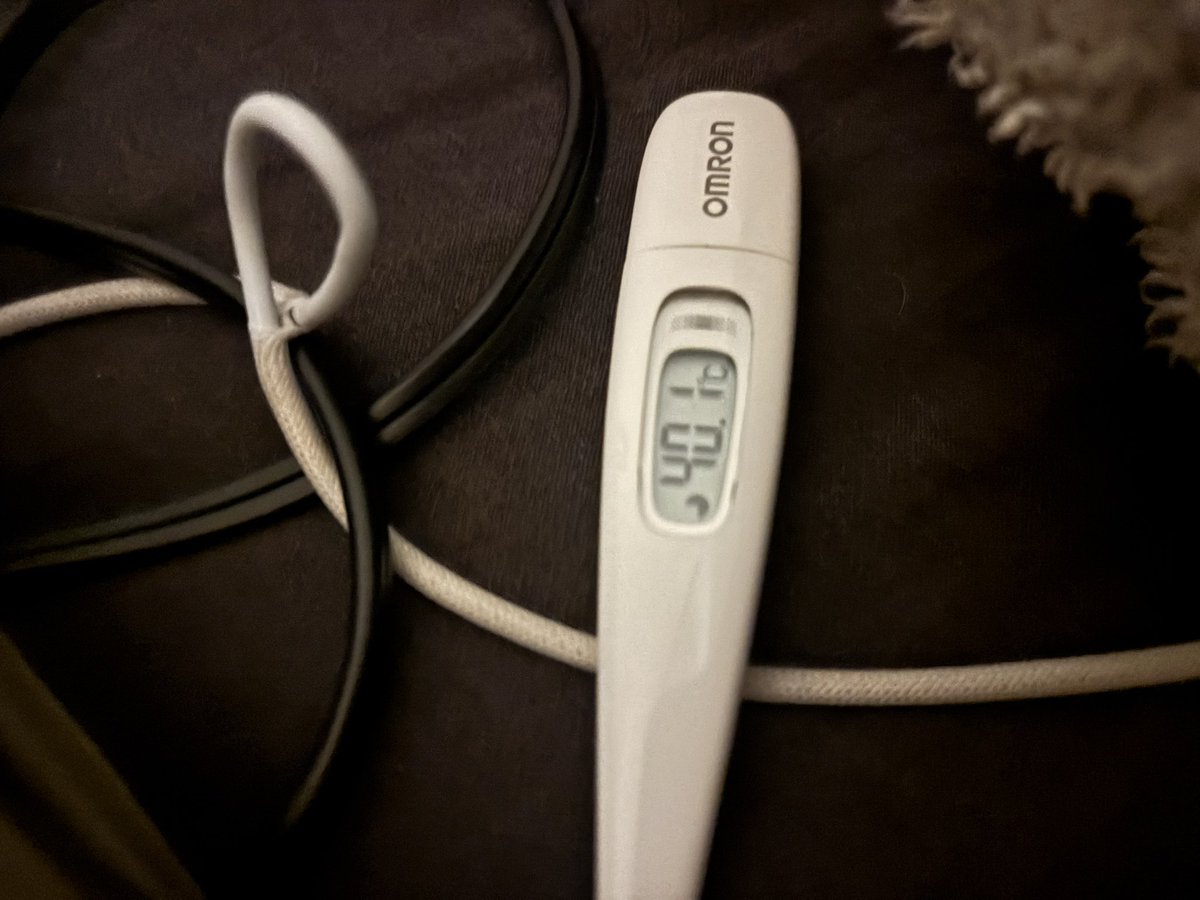 結構まじで死にそう