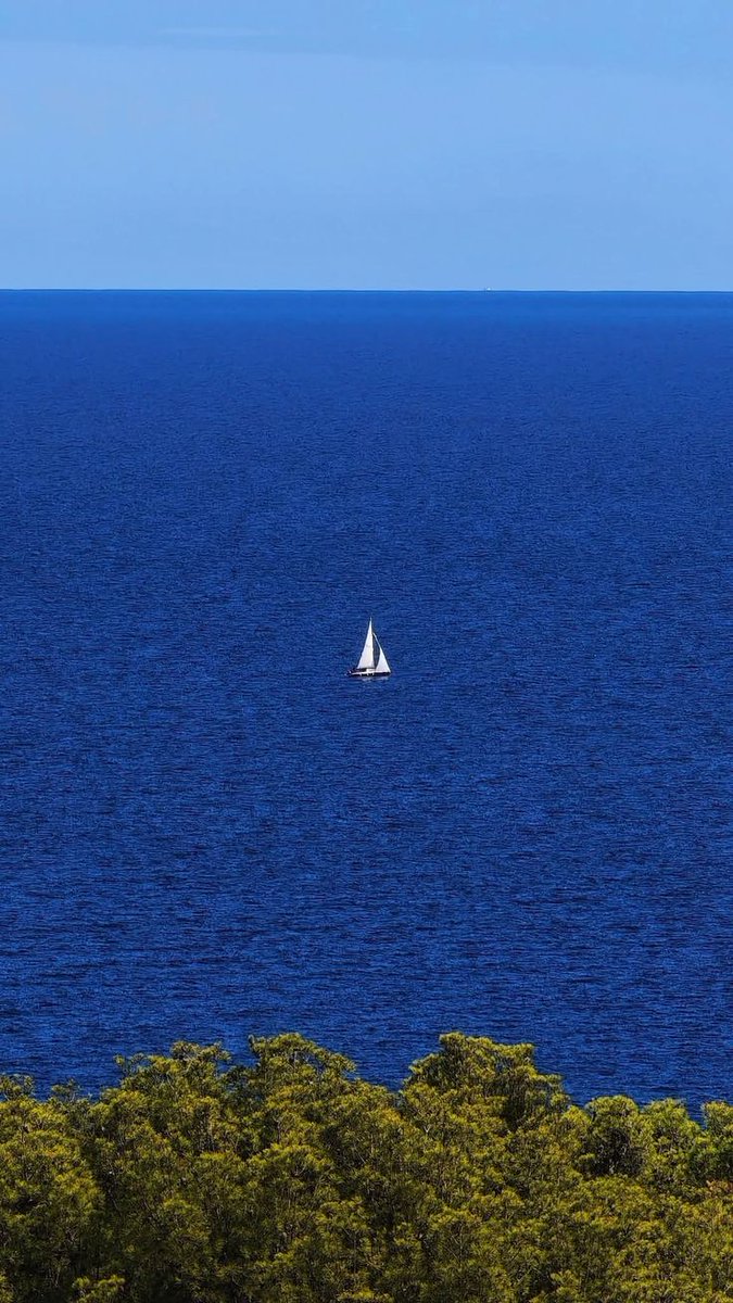 BlueOcean3276's tweet photo. Hawaiian Beach (CDP) 🌴

Getty 📸 https://t.co/xeQA2DJjog