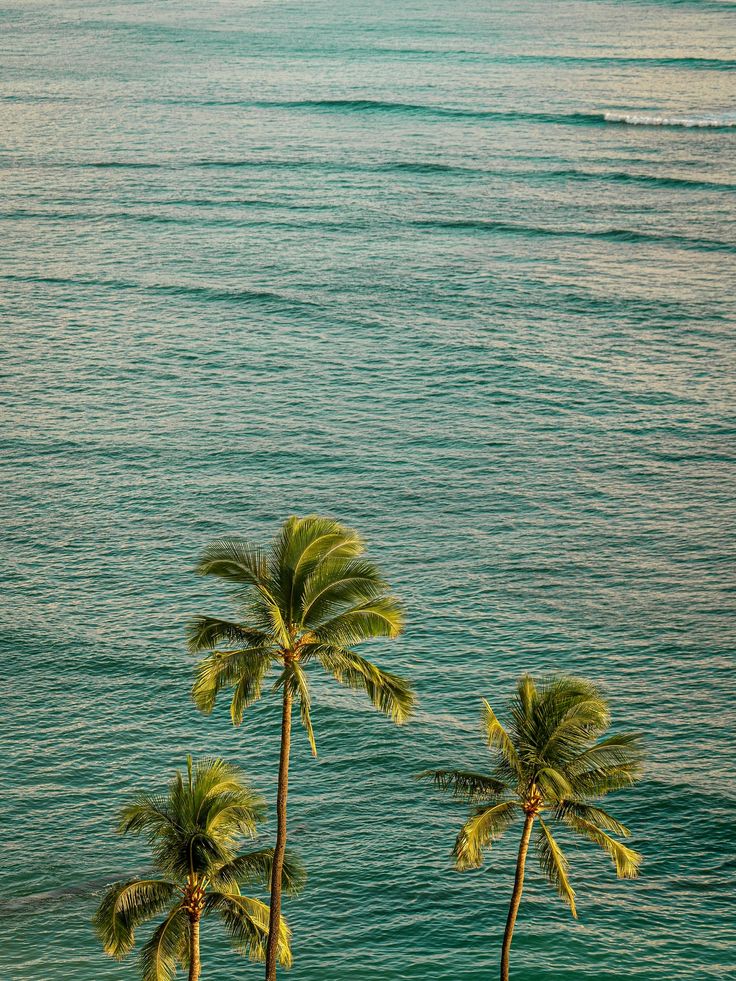 Hawaiian Beach (CDP) 🌴

Getty 📸