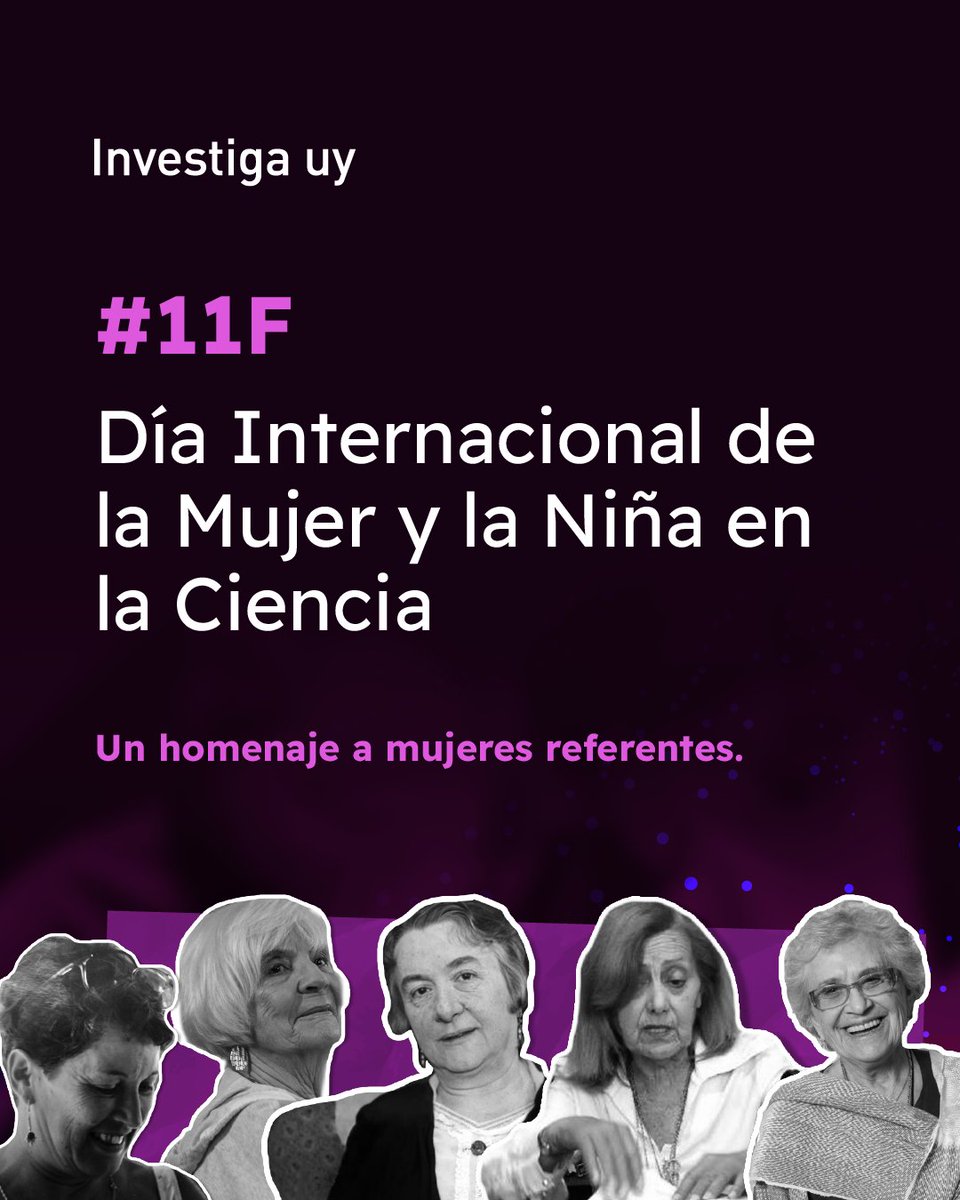 Investiga uy tweet media