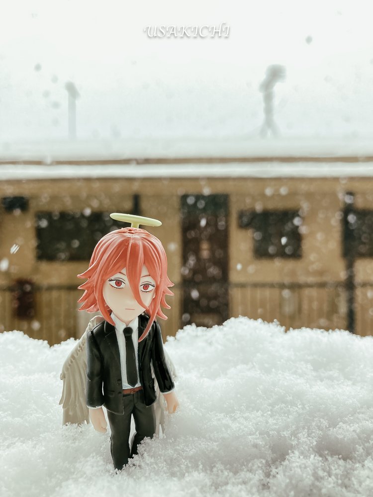 うさ吉 (@usakichi2017) / Posts / X