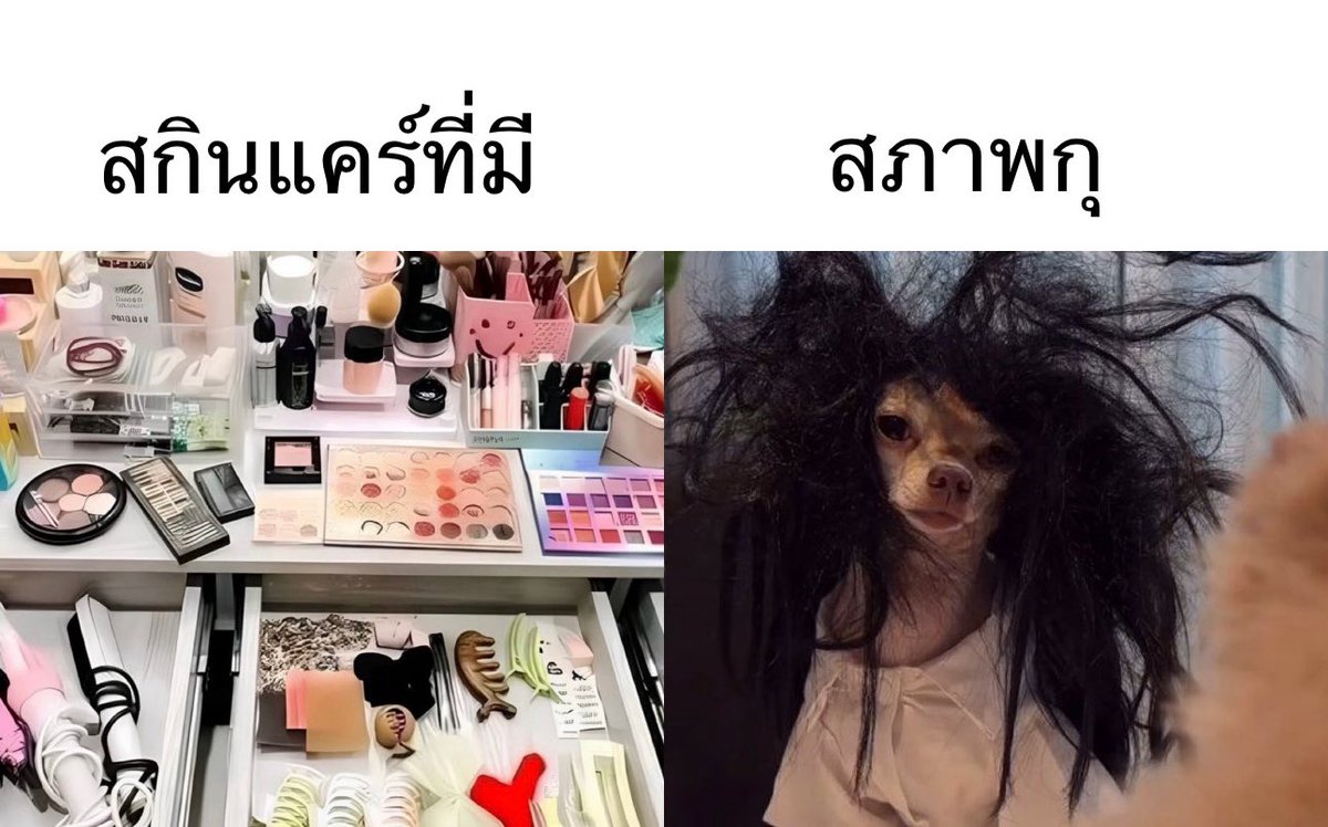 sutiฯ tweet media