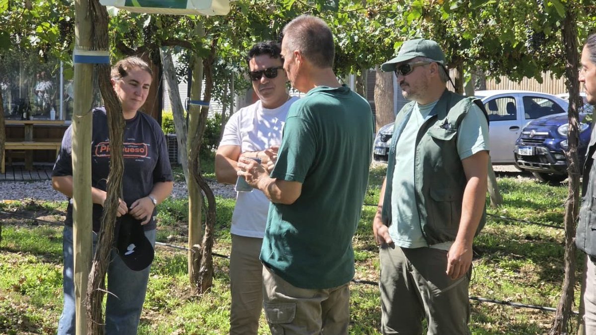 Inteligencia Artificial aplicada al agro: ISCAMEN desarrolló un sistema propio de machine learning para el reconocimiento de plagas acortar.link/5jZYzZ