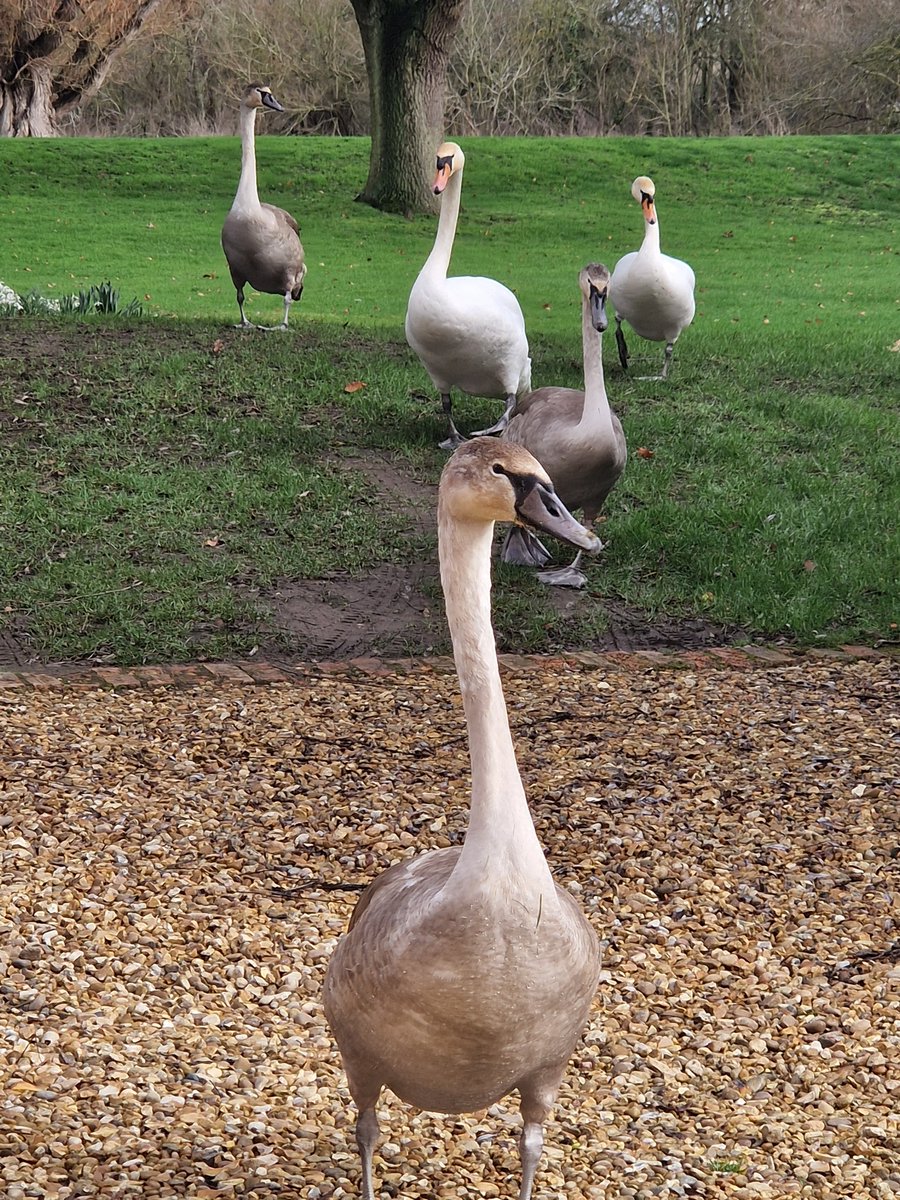 John Rutter tweet media