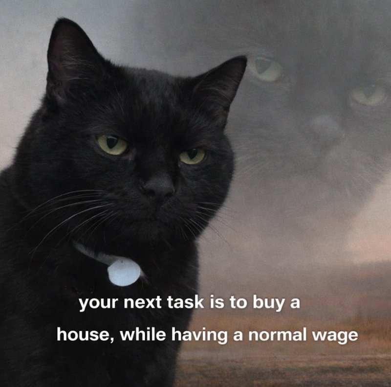 Reaction Image Archive tweet media