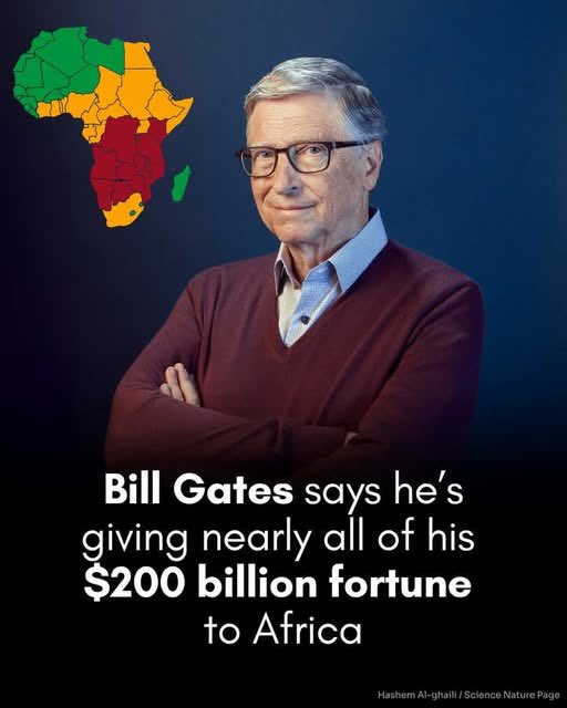 African Hub tweet media