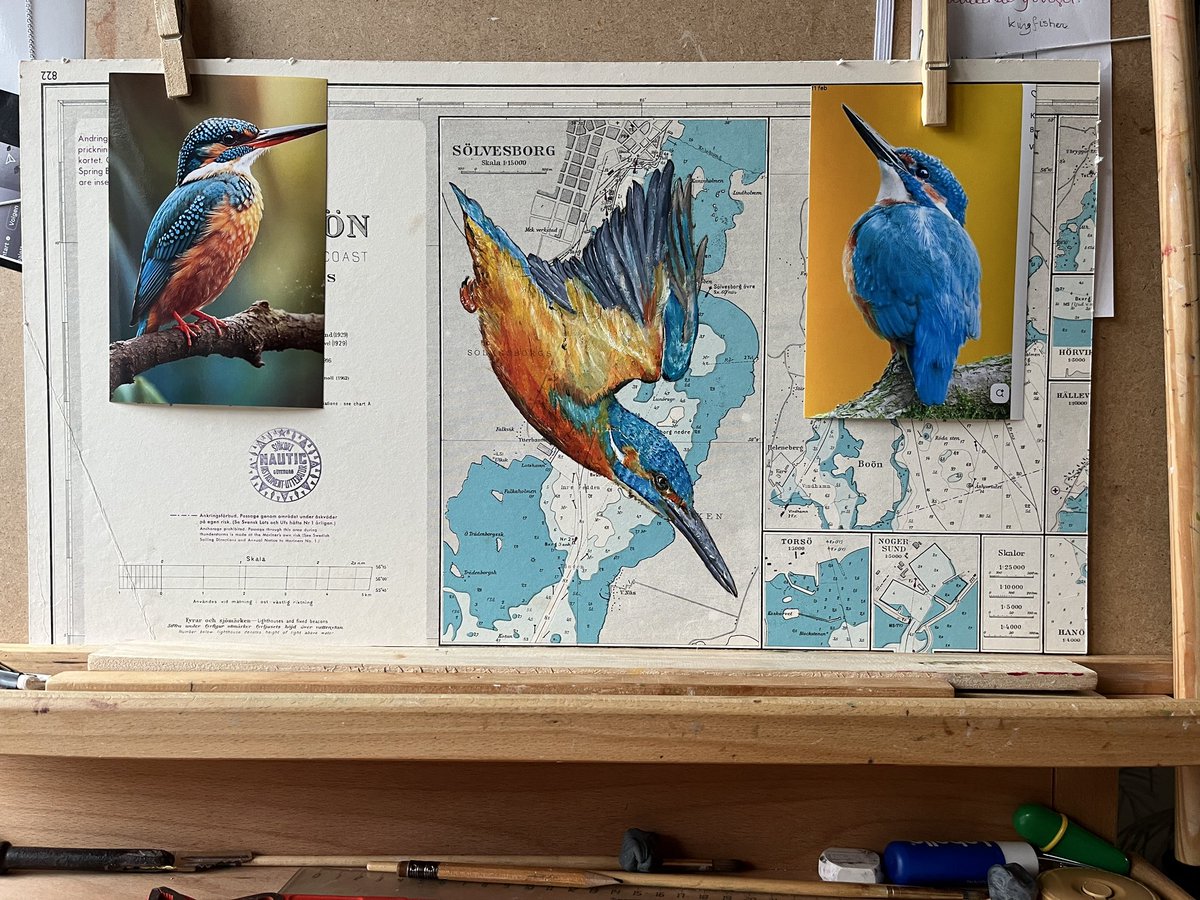 Project: IJsvogels (drieluik). 
1 van de 3 is af. 
Met olieverf op een vintage zeekaart van de zweedse kust. 
Afmeting 16x25. 
(Totale afmeting 50x27)

#ijsvogel #Zweden #kingfisher 🧡🩵💚💙

Update 2