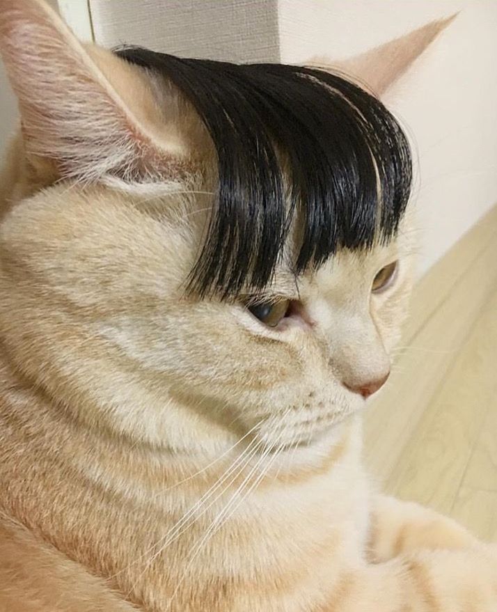 แกฉันเอ็นดูของดำได้ไหม55555555555