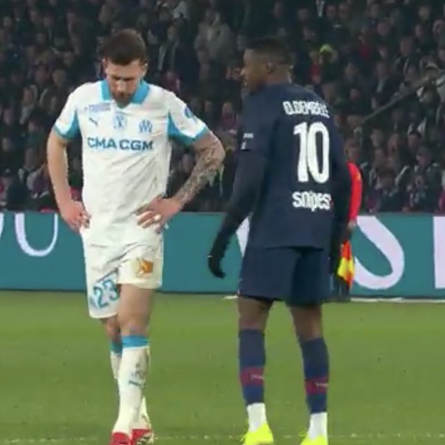 Massilia Zone tweet media