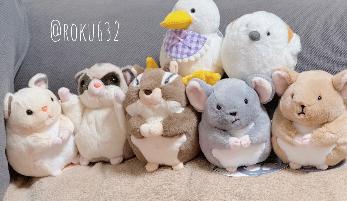 自分の良くない癖なんですけど、ハマるとすぐ集めたくなるのであっ