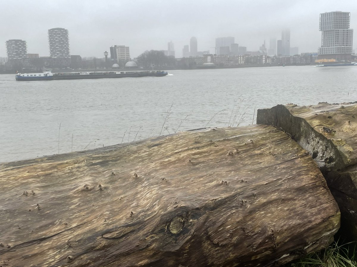 Rotterdam 11 februari 2026