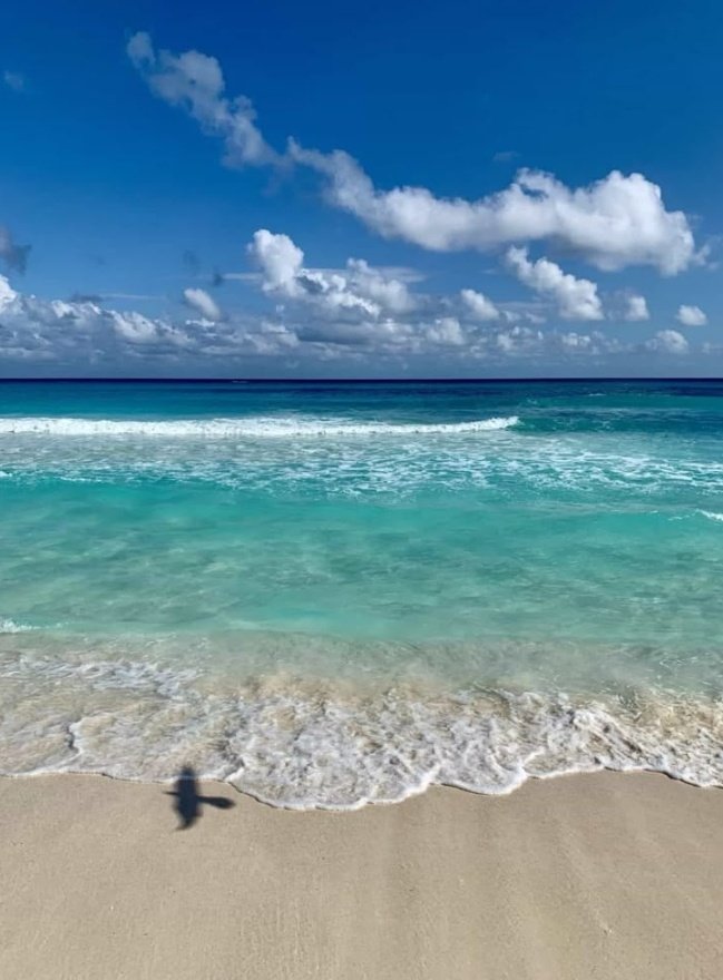 happinessisbl's tweet photo. #JoongDunk Au 
Dulce como el agua de coco
Donde:

Joong vende cocos bajo el sol de Cancún, pero el brillo de un turista lo deslumbró

O

Dunk en busca del paraíso lo halló en un puesto de frutas, con un vendedor que le quita las ganas de perder el viaje de regreso https://t.co/G7eoaMbH9V