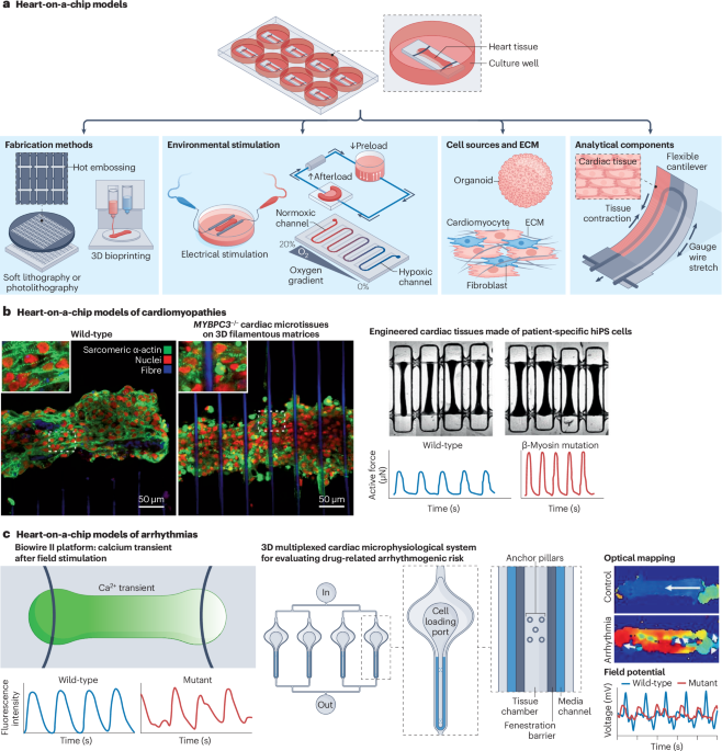 Nature Reviews Cardiology tweet media