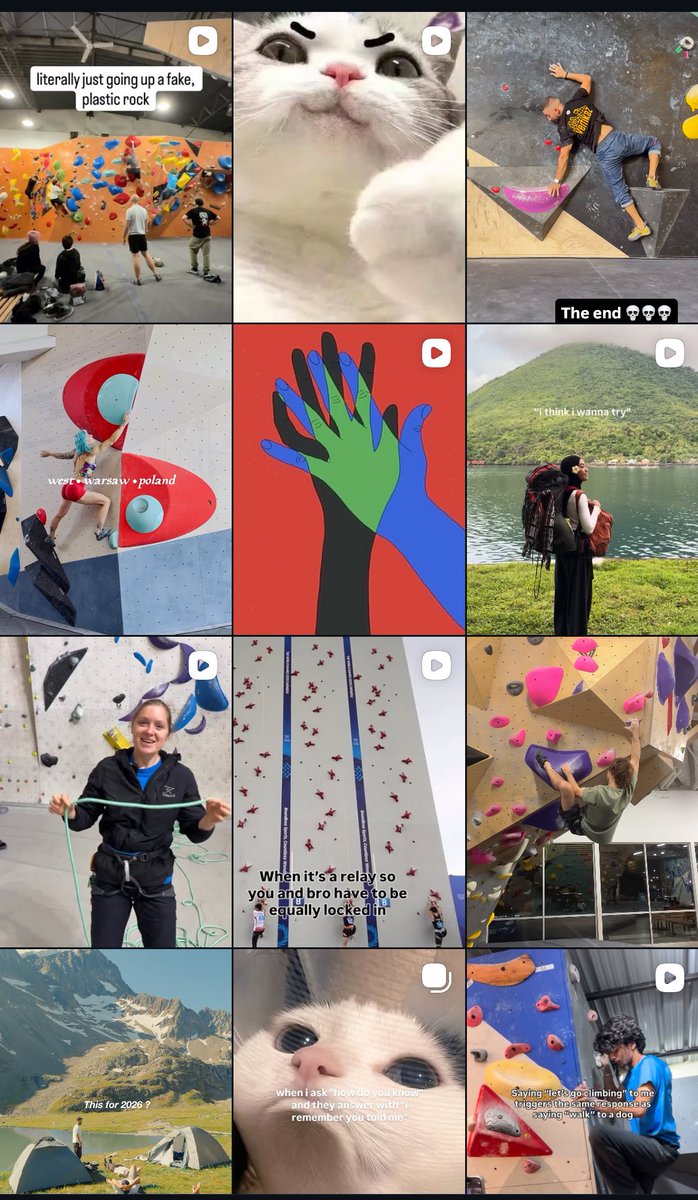 theiin_'s tweet image. #escalade