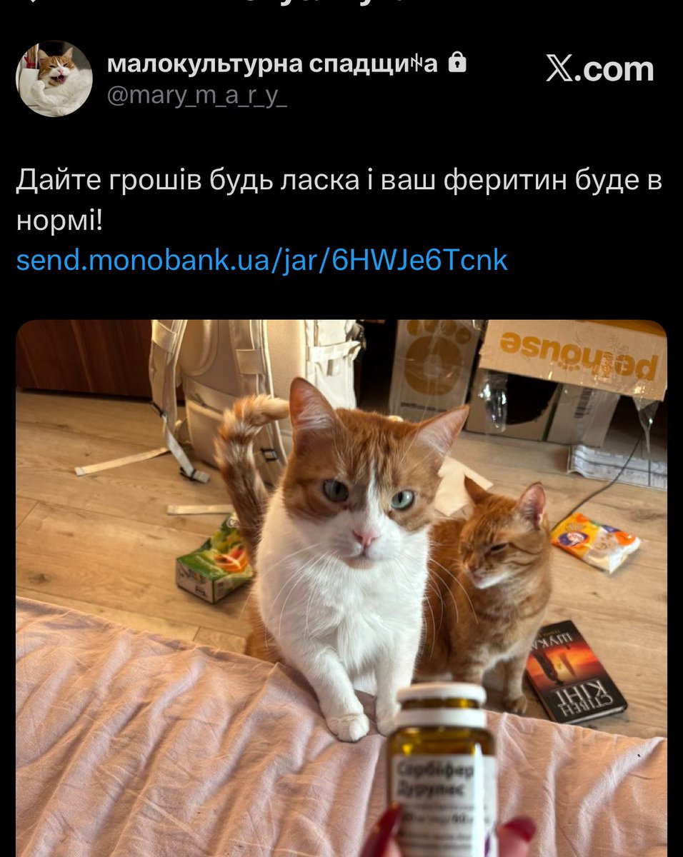 біба і боба напали на марічку <a href="/mary_m_a_r_y_/">малокультурна спадщиꑭа</a> і просять грошів на тачки яструбам

send.monobank.ua/jar/6HWJe6Tcnk